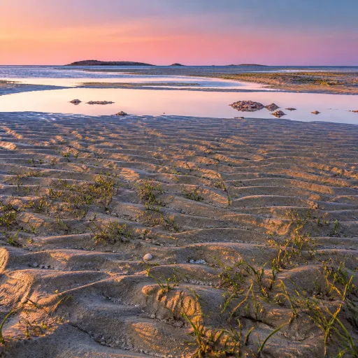 Hawar Islands: serene beachfront escapes in Bahrain’s wild south